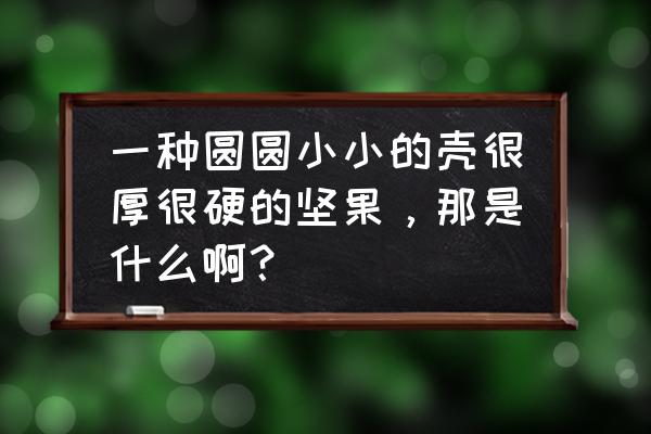 特别硬的坚果是什么 一种圆圆小小的壳很厚很硬的坚果，那是什么啊？