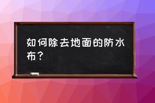 哪了有卖地面清洁剂 如何除去地面的防水布？