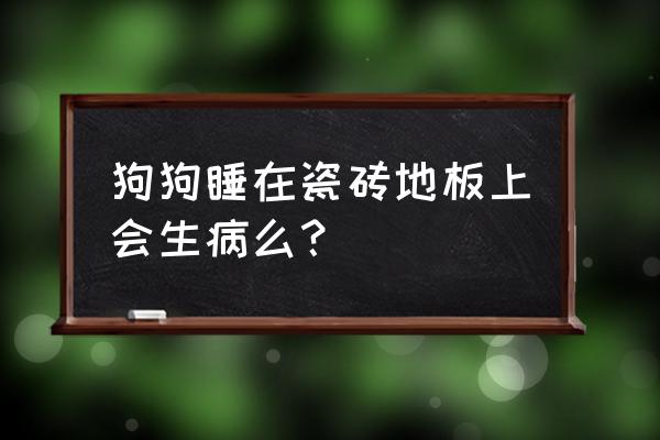 金毛睡地板砖有什么危害 狗狗睡在瓷砖地板上会生病么？