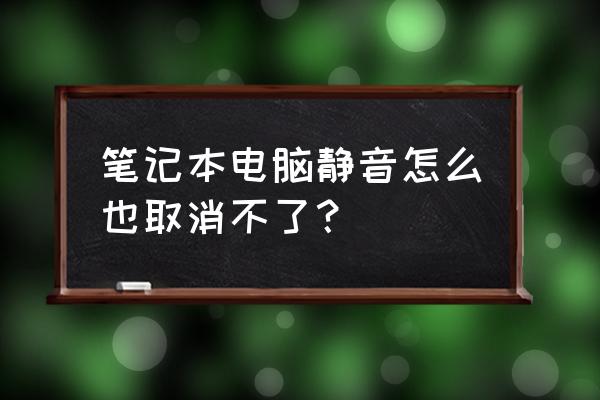 苹果笔记本电脑一直静音怎么回事 笔记本电脑静音怎么也取消不了？