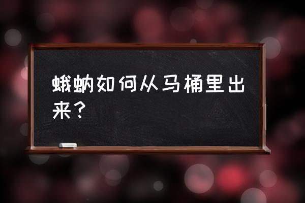 下水道飞虫会不会从马桶出来 蛾蚋如何从马桶里出来？