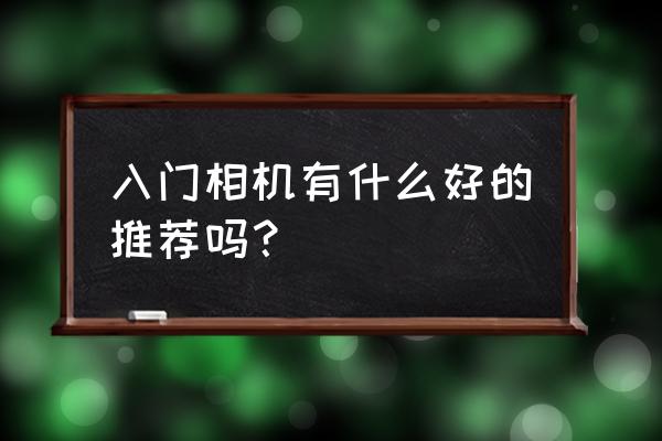 入门级数码相机哪种好 入门相机有什么好的推荐吗？