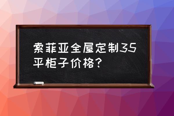 室内设计柜子的尺寸是多少钱 索菲亚全屋定制35平柜子价格？