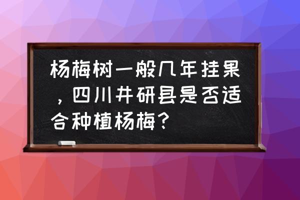 四川哪里有杨梅树苗 杨梅树一般几年挂果，四川井研县是否适合种植杨梅？