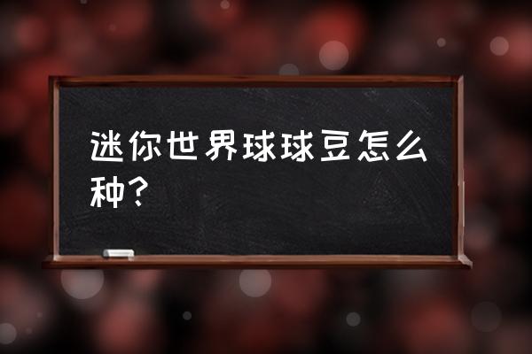 迷你世界红杉木在哪里 迷你世界球球豆怎么种？