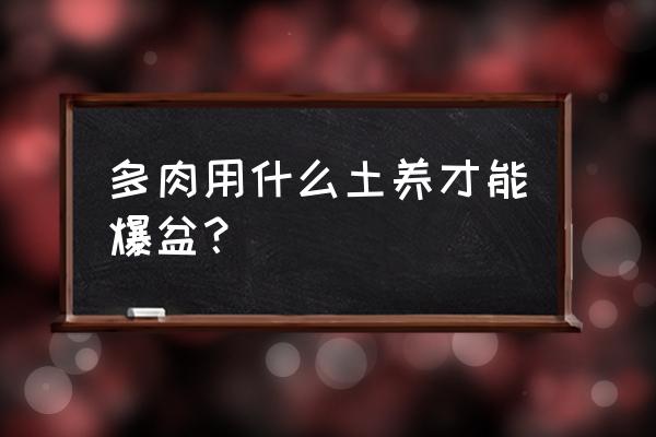 多肉硅藻土用量是多少 多肉用什么土养才能爆盆？