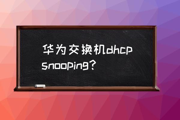 华为交换机命令什么意思dhcp 华为交换机dhcpsnooping？