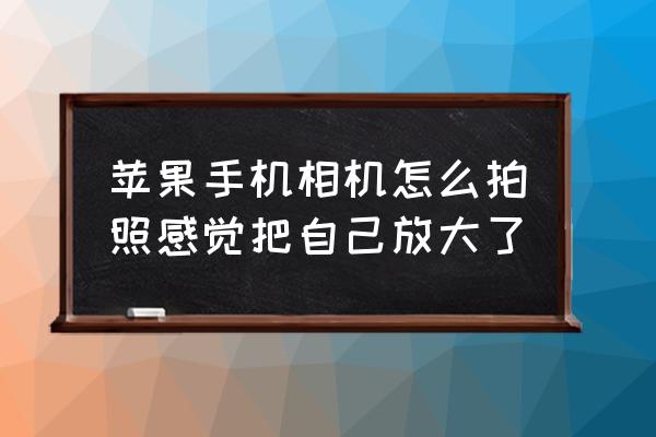 苹果手机相机翻译功能在哪 苹果手机相机怎么拍照感觉把自己放大了