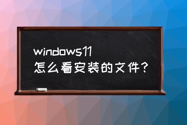 如何查看我电脑安装的系统文件 windows11怎么看安装的文件？