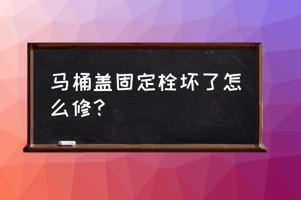 马桶盖上的螺丝断了怎么维修 马桶盖固定栓坏了怎么修？