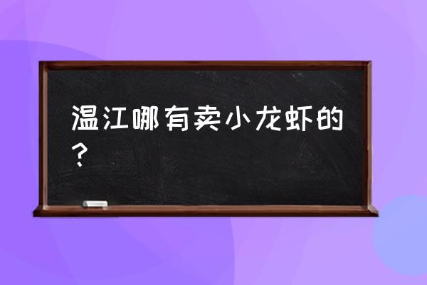 成都哪里卖活小龙虾 温江哪有卖小龙虾的？