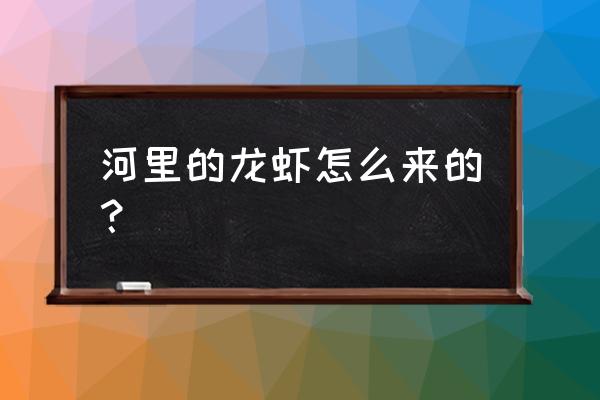 小龙虾属于外来物种吗 河里的龙虾怎么来的？