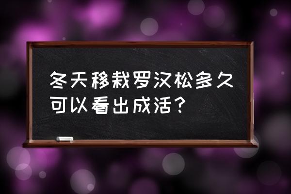 罗汉松冬天怎样养护 冬天移栽罗汉松多久可以看出成活？