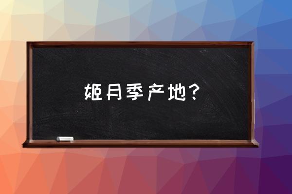 姬月季叶子枯了是为什么 姬月季产地？