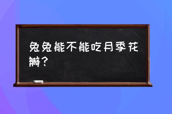 月季花瓣能干什么 兔兔能不能吃月季花瓣？