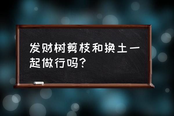 大对叶小对叶怎么种 发财树剪枝和换土一起做行吗？