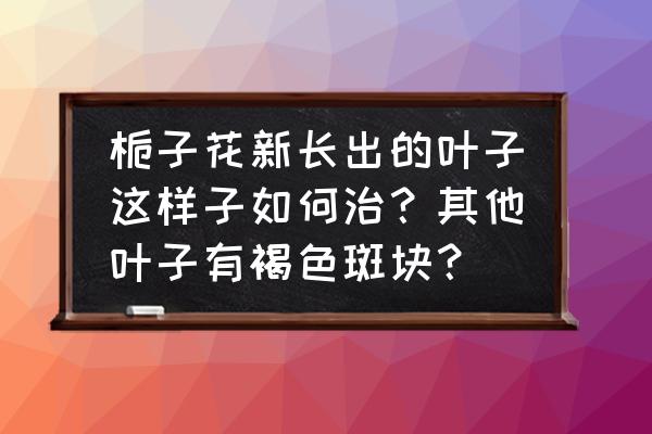 新鲜的栀子花怎样保存得更久 栀子花新长出的叶子这样子如何治？其他叶子有褐色斑块？