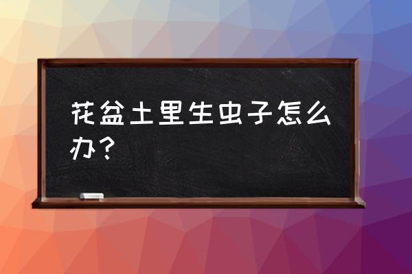 植物种下去发现土里有虫子怎么办 花盆土里生虫子怎么办？