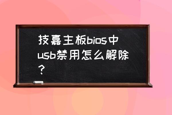 进不了bios怎么设置u盘启动选项 技嘉主板bios中usb禁用怎么解除？