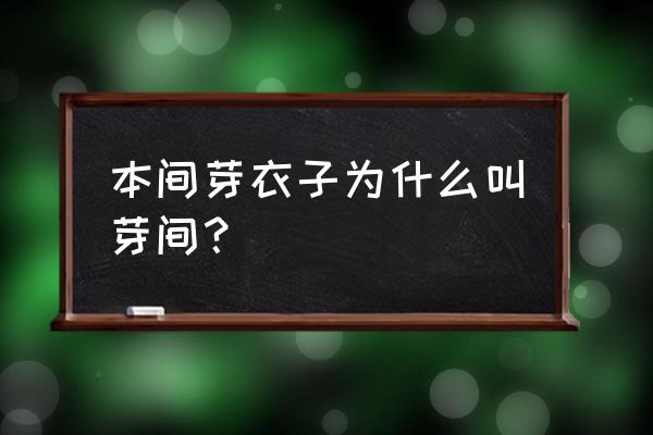 芽衣子日本电视剧中文解说 本间芽衣子为什么叫芽间？