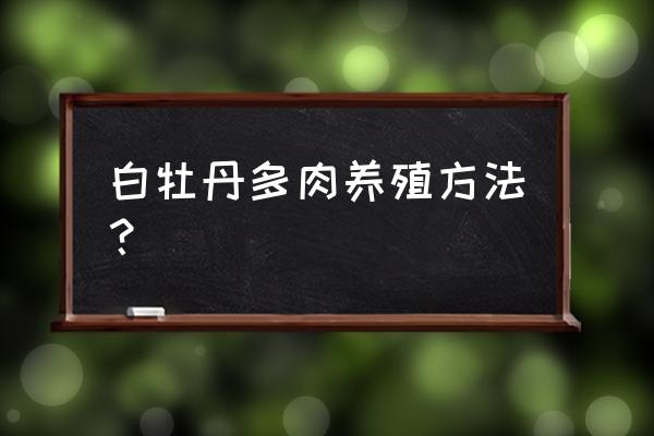 白牡丹多肉怎么养爆盆 白牡丹多肉养殖方法？