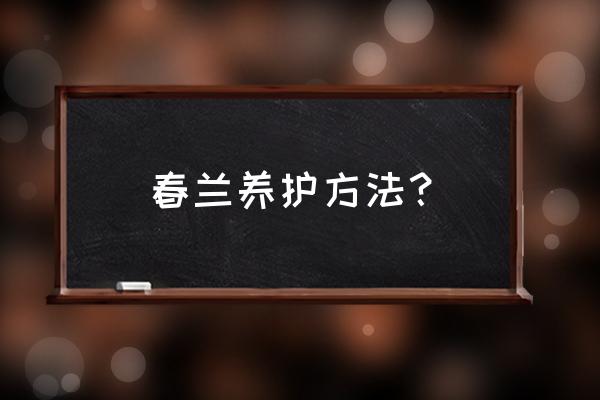 养兰花只需记住这3点 春兰养护方法？