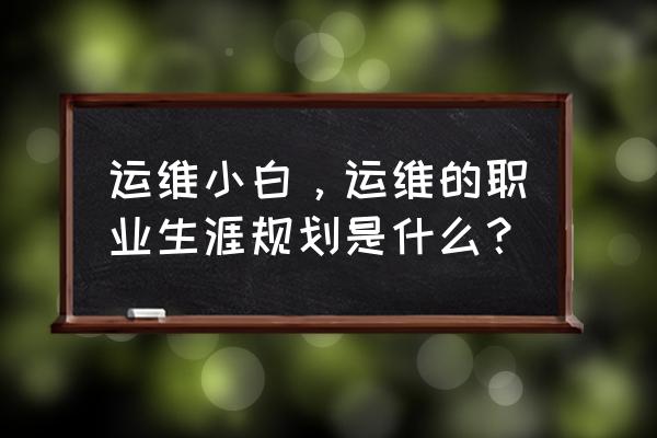 运维成本控制方法 运维小白，运维的职业生涯规划是什么？