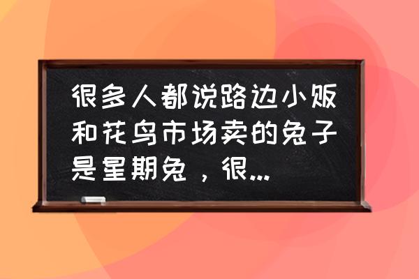 爱死小白和爱死小白兔有什么区别 很多人都说路边小贩和花鸟市场卖的兔子是星期兔，很容易死。不知道有没有人养活过这种兔子？