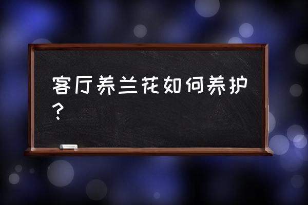 室内客厅花艺布置 客厅养兰花如何养护？