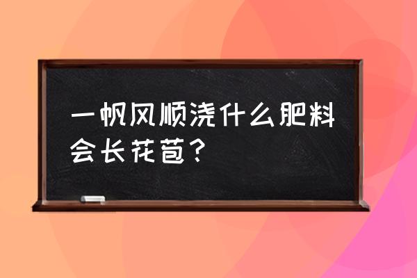 白掌开花到什么程度可以剪掉花苞 一帆风顺浇什么肥料会长花苞？