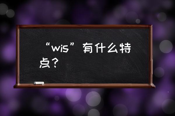 pmp记录事情进展的表格 “wis”有什么特点？