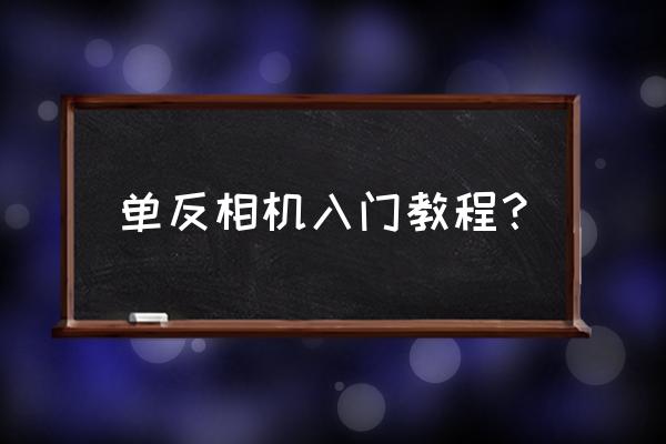 看图片入门教程 单反相机入门教程？