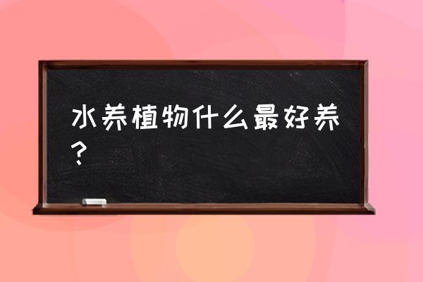 一叶莲剪下来怎么养 水养植物什么最好养？