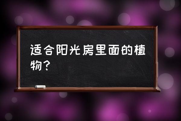 铁兰的种植方法和注意事项 适合阳光房里面的植物？