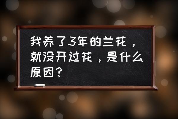 容易开花的植物最近不开花了 我养了3年的兰花，就没开过花，是什么原因？