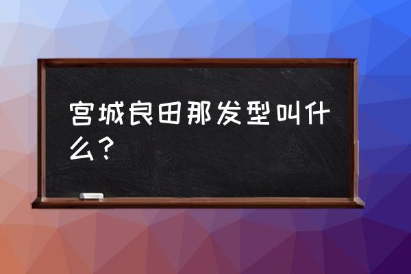 灌篮高手宫城良田帅照 宫城良田那发型叫什么？