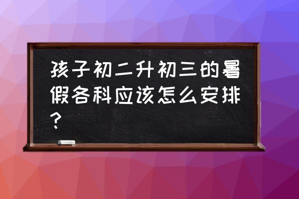 中考状元谈初二升初三暑期的学习 孩子初二升初三的暑假各科应该怎么安排？