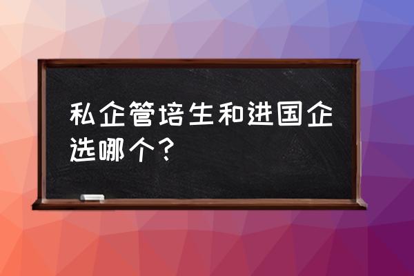 管培生和普通员工薪资一样吗 私企管培生和进国企选哪个？