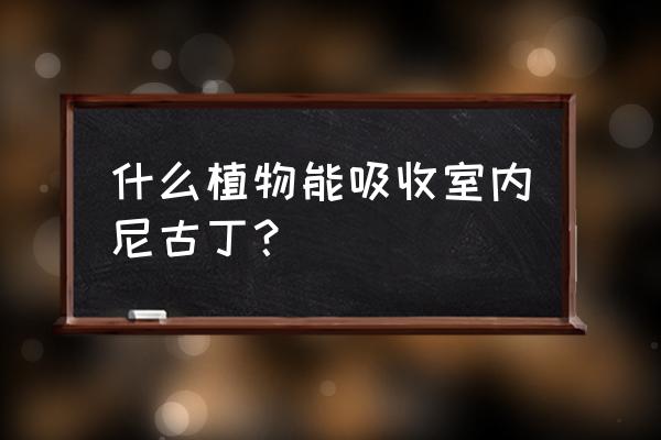 室内植物防抽烟 什么植物能吸收室内尼古丁？