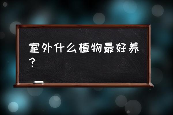 附近花园适宜生长的植物 室外什么植物最好养？