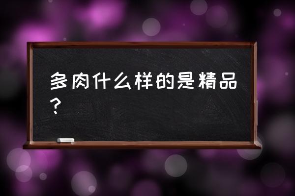 龟甲龙容易活吗 多肉什么样的是精品？