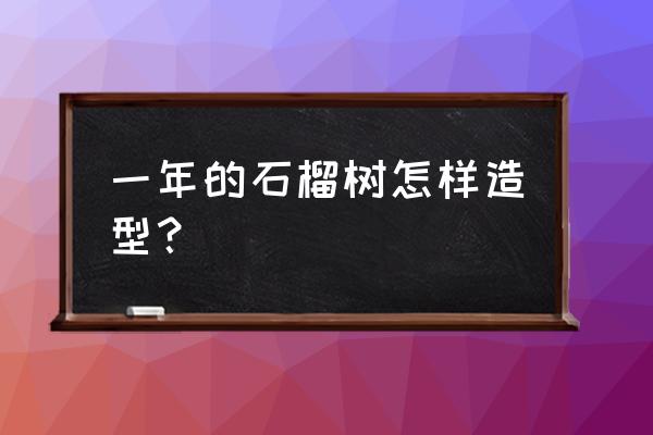 苗木造型基础知识 一年的石榴树怎样造型？