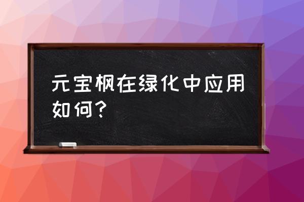 元宝树的种植方法及怎么修剪 元宝枫在绿化中应用如何？