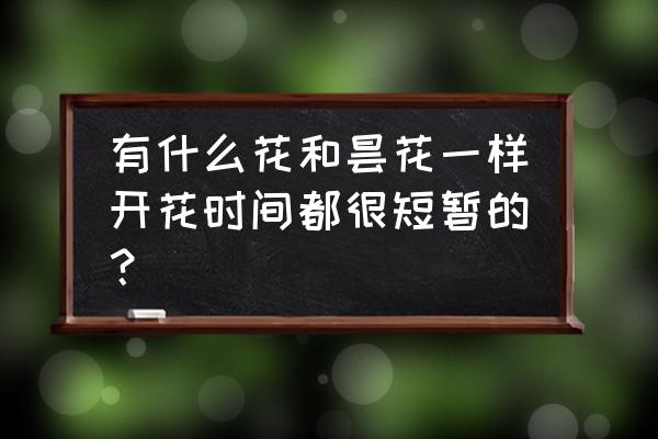 昙花怎么养能多开花儿 有什么花和昙花一样开花时间都很短暂的？