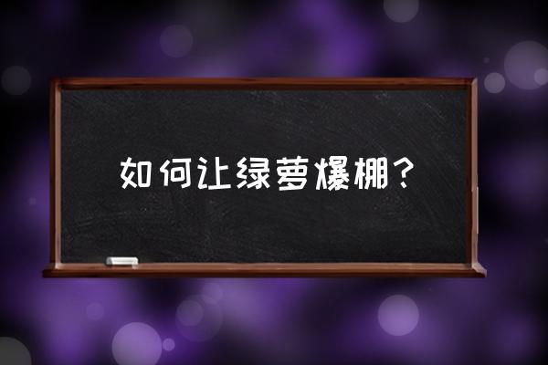 如何让绿萝长出粗壮的气根 如何让绿萝爆棚？