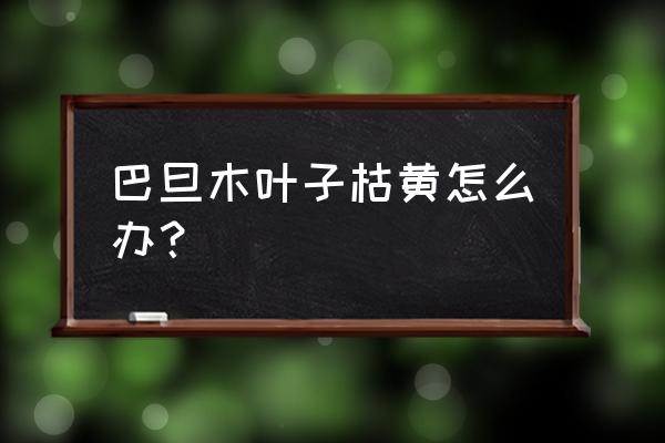 植物叶片干枯发黄怎么办 巴旦木叶子枯黄怎么办？