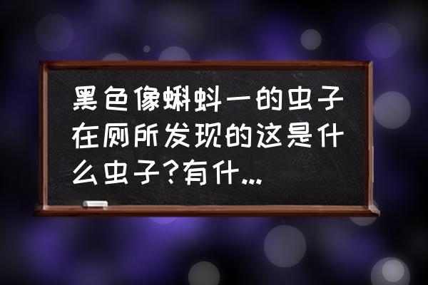 卫生间有黑色细长的虫子 黑色像蝌蚪一的虫子在厕所发现的这是什么虫子?有什么害处怎么去除？