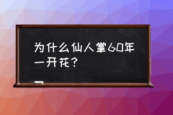 仙人掌的种植发育全过程图 为什么仙人掌60年一开花？