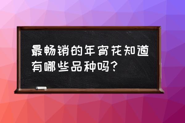 一年四季都开的盆栽花名字 最畅销的年宵花知道有哪些品种吗？