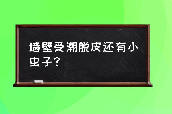 家里潮湿发霉有虫子怎么办 墙壁受潮脱皮还有小虫子？